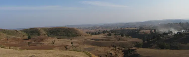 भरीया नकली चीतर