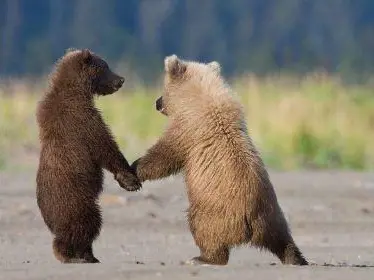 भरीया भासाक अच्‌छा कीस्‌सा