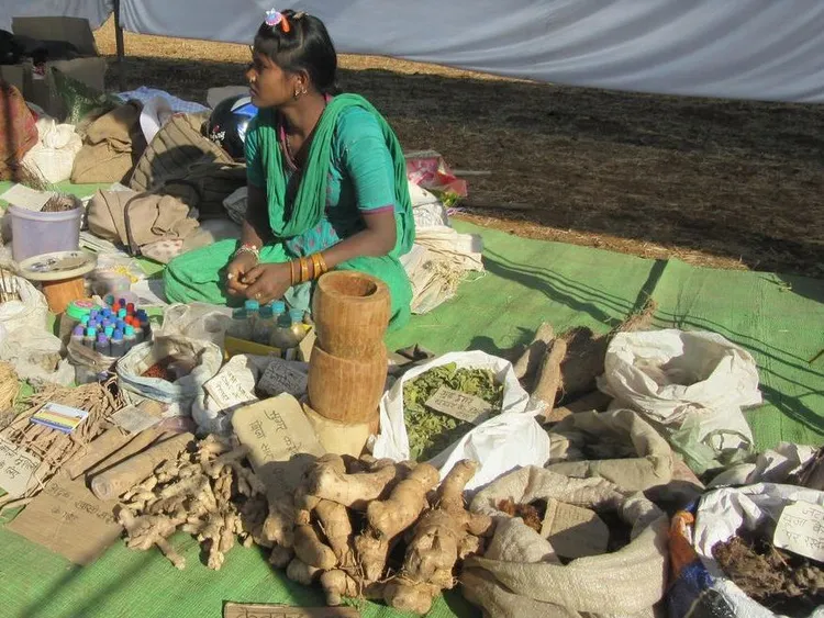 Patalkot Valley's Herbals